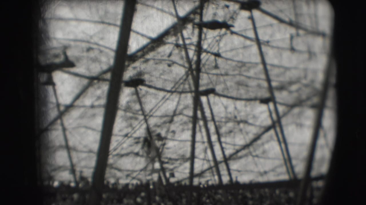 Silhouetted circus performer on high-bar rigging against a pale sky.