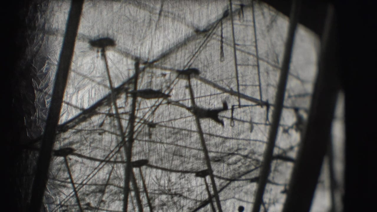 The performer appears as a dark silhouette among high-bar cables and poles in the 1948 Ringling Brothers Sarasota setting.