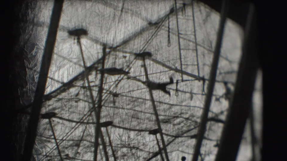 The performer appears as a dark silhouette among high-bar cables and poles in the 1948 Ringling Brothers Sarasota setting.