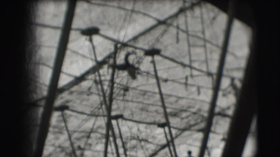 1948 Sarasota circus footage showing a silhouetted acrobat near high aerial rigging under tent canvas.