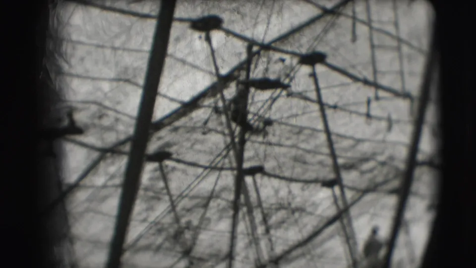 Soft black-and-white frame showing an acrobat near the upper rigging of a 1948 circus tent scene.