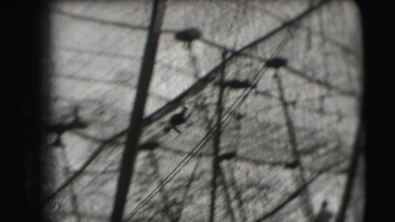 Soft view of poles and overhead rigging against a bright tent canvas.