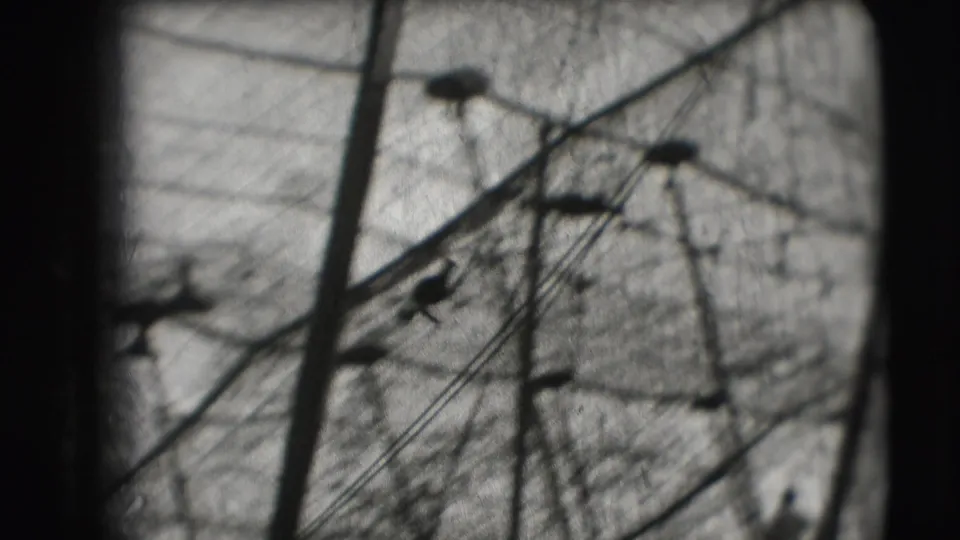 Soft 8mm view of circus tent rigging and poles silhouetted against light canvas in the Sarasota circus footage.