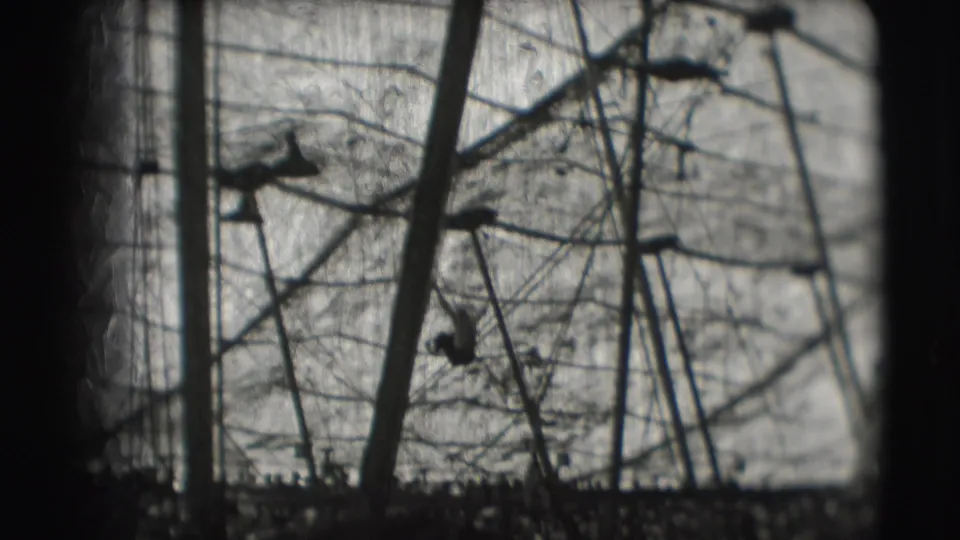 1948 circus tent interior frame with canvas texture, poles, wires, and dark foreground edge from a home-movie viewpoint.