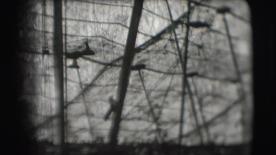 Blurred 8mm frame of circus tent poles and rigging under canvas, consistent with the 1948 Sarasota metadata.