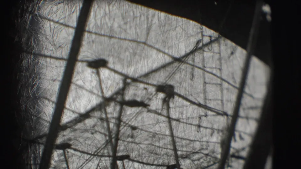 1948 Sarasota circus practice footage showing trapeze bars, ropes, and supports seen through a dark 8mm frame.