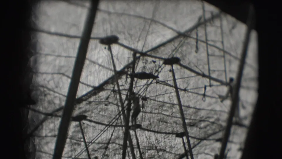 1948 8mm circus practice frame with angled poles, trapeze bars, ropes, and heavy film wear.