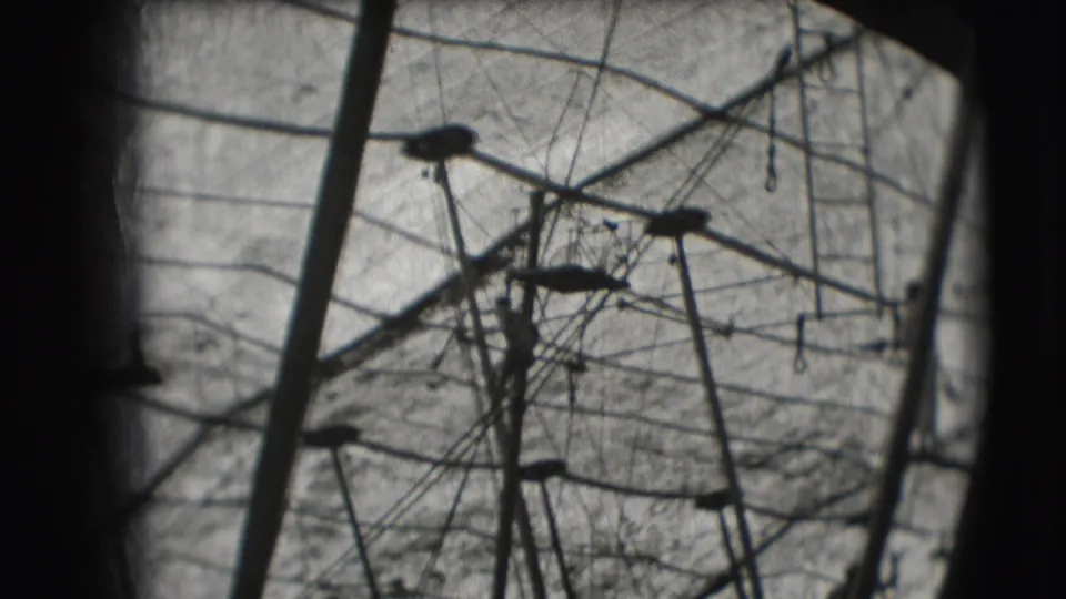 Ringling Brothers Sarasota practice footage shows backlit trapeze rigging, bars, and ropes in a soft 8mm frame.