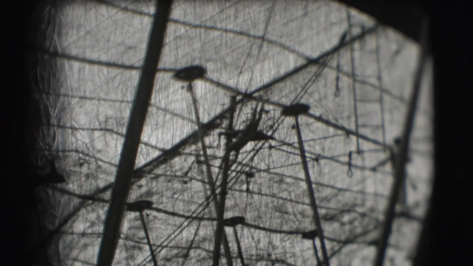 1948 Sarasota circus footage showing dark trapeze lines, poles, and small silhouetted performers against a bright big-top canopy.