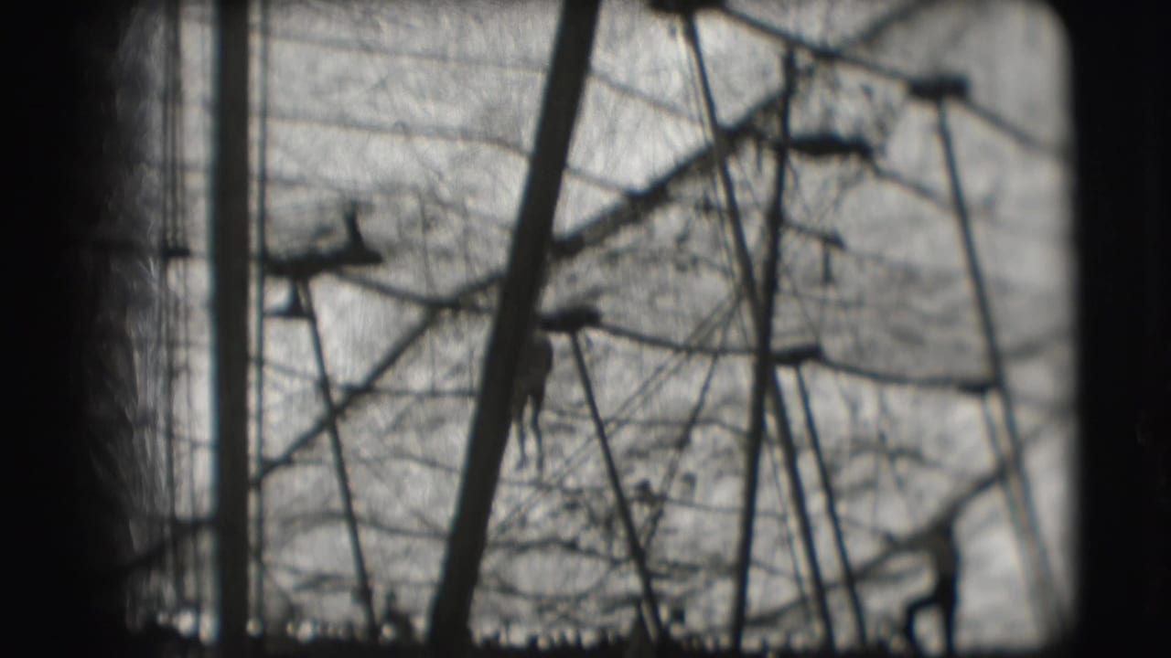 1948 Sarasota circus footage showing a distant acrobat near high bar rigging, support poles, netting, and bare branches.