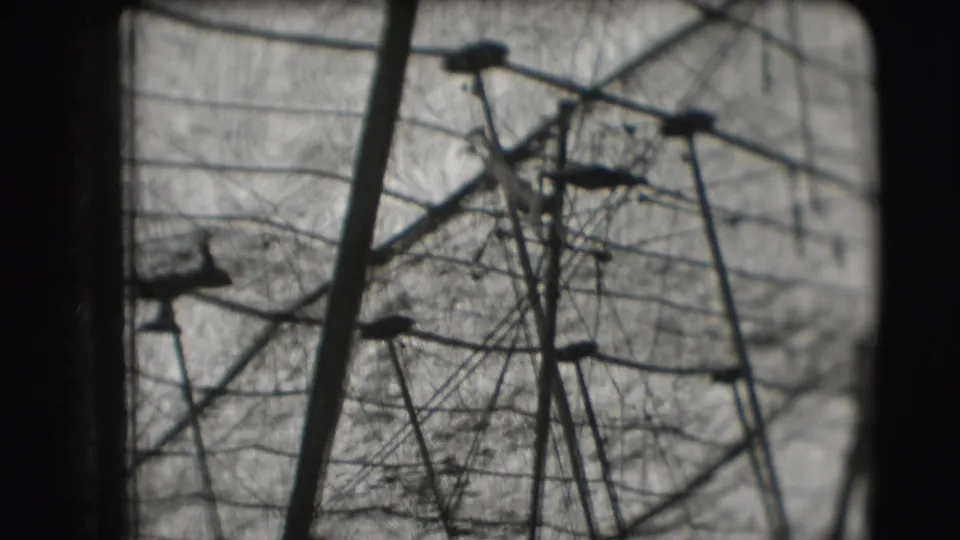 Visitor-shot 8mm view of a circus acrobat near high bar equipment, with poles, netting, branches, and sky visible.
