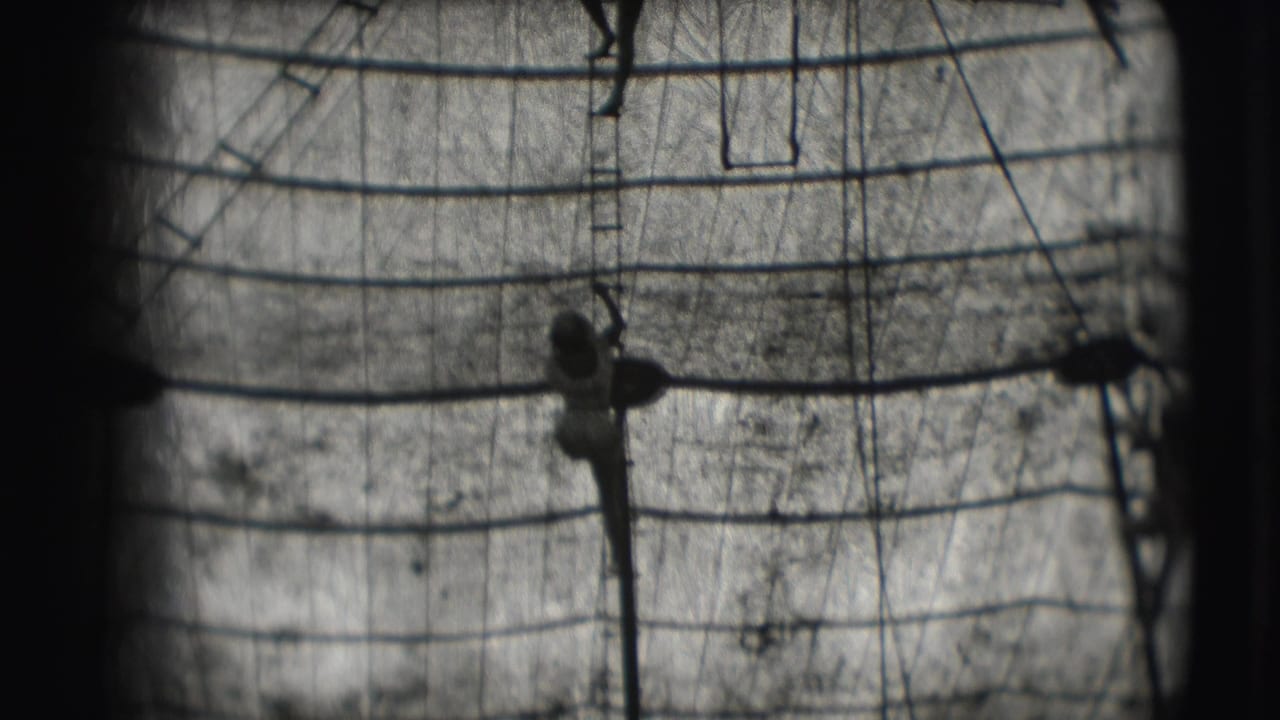 Black-and-white 1948 Ringling Brothers Sarasota footage shows a silhouetted trapeze performer against rigging and a lined backdrop.