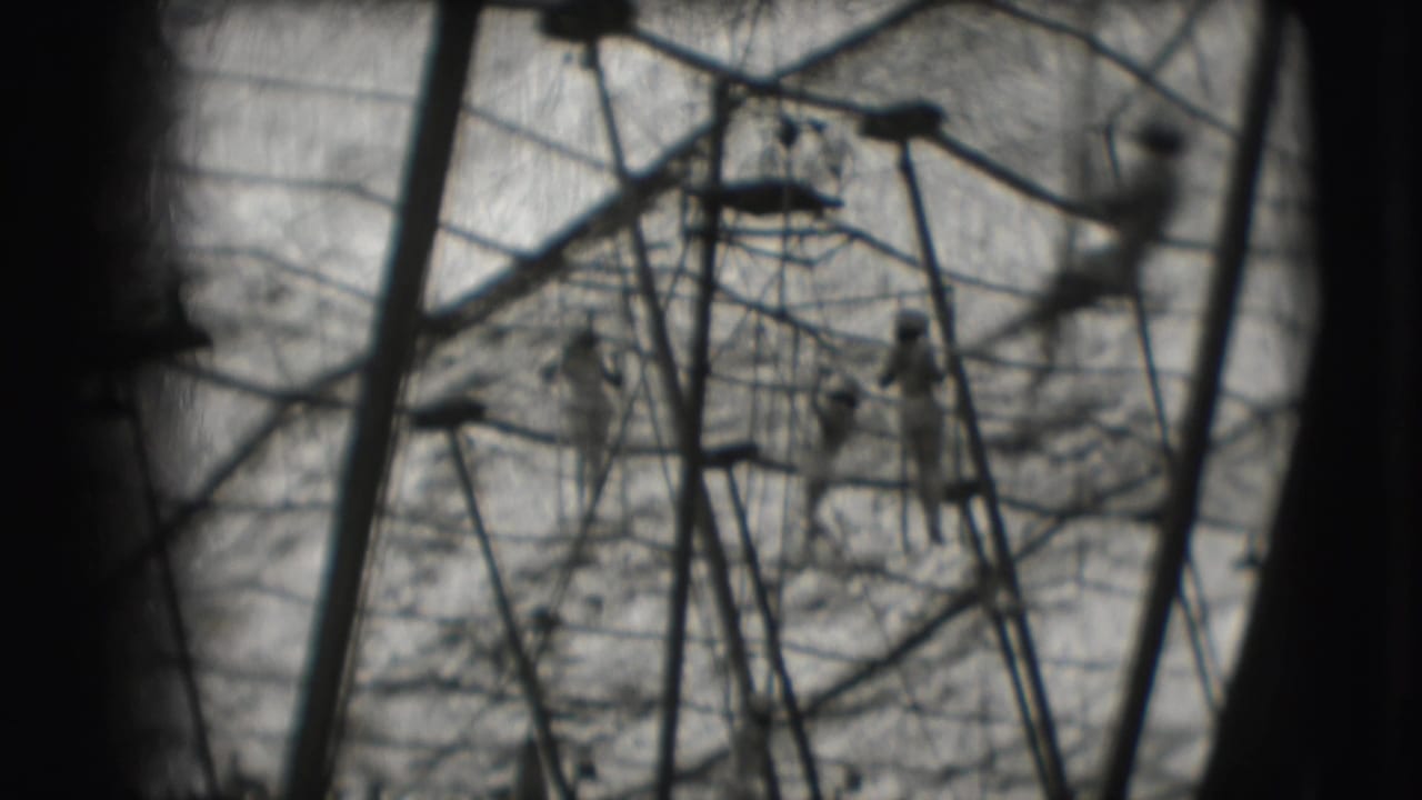 Distant trapeze rigging and performers under a circus tent.