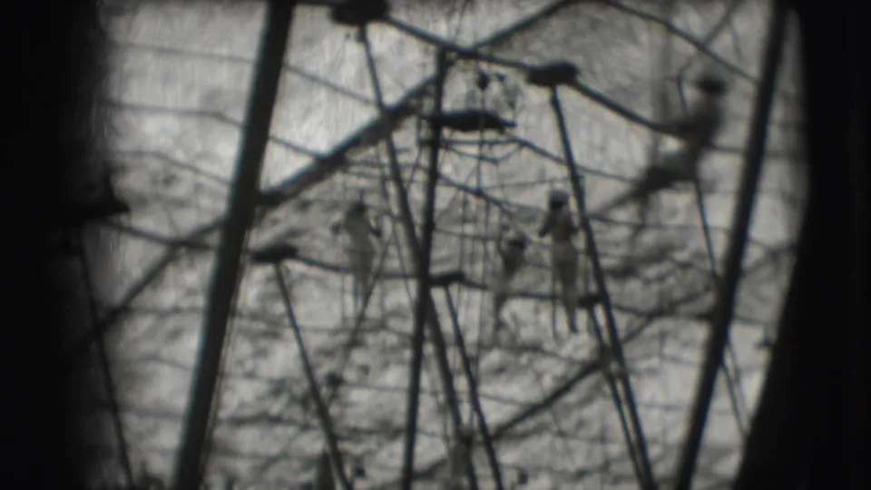 1948 Sarasota circus footage showing distant trapeze performers among ropes and rigging under tent fabric.