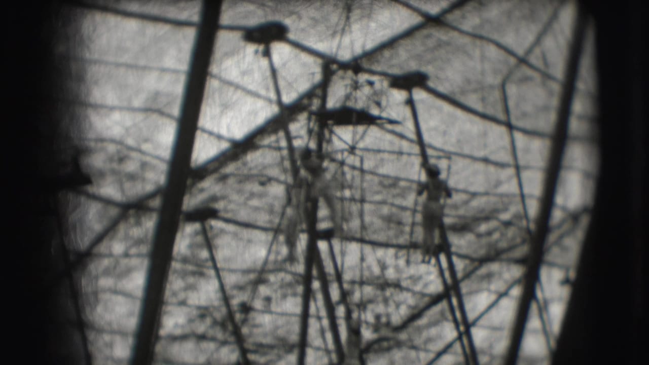 Distant women trapeze performers appear amid ropes, bars, and tent lines in the 1948 Ringling Brothers Sarasota setting.