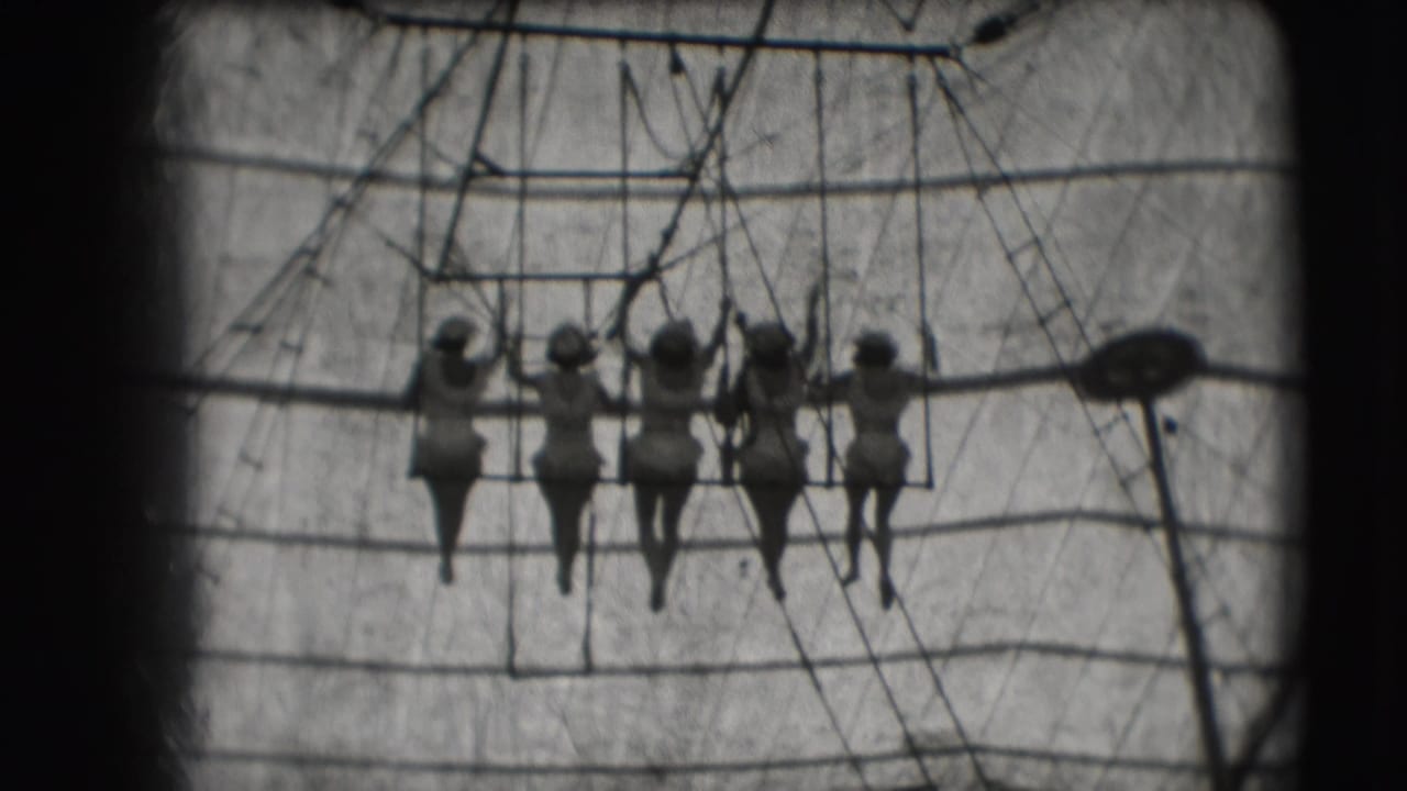 Women performers appear in silhouette on a trapeze swing at the Sarasota circus site, framed by ropes and canvas.