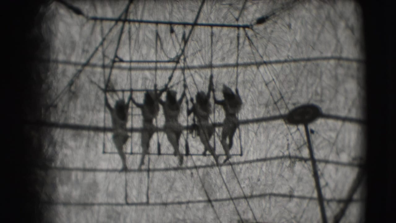 Five acrobats appear on a high bar inside a circus tent in 1948 Ringling Brothers Sarasota footage, seen from below in soft black-and-white 8mm.