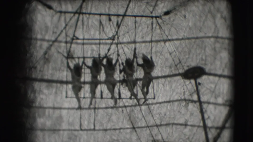 Five acrobats appear on a high bar inside a circus tent in 1948 Ringling Brothers Sarasota footage, seen from below in soft black-and-white 8mm.