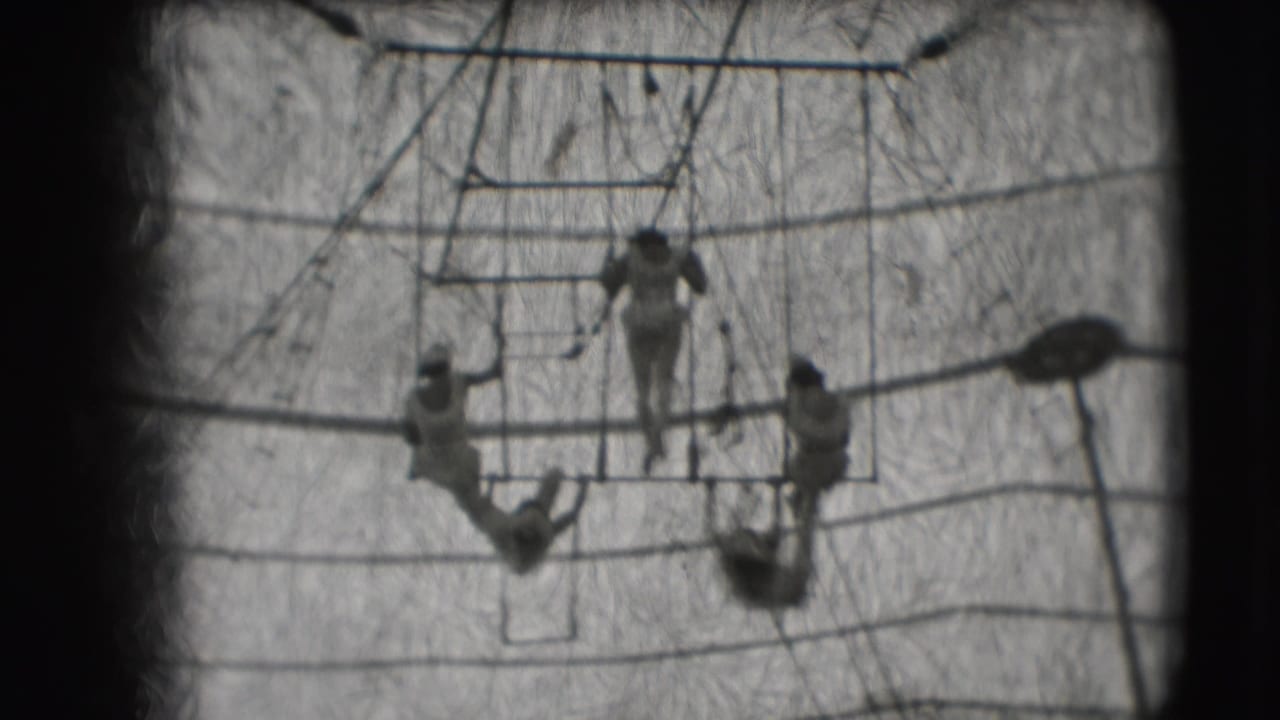 Acrobats perform on and below a high bar inside the Ringling Brothers Sarasota circus tent, with rigging lines filling the background.