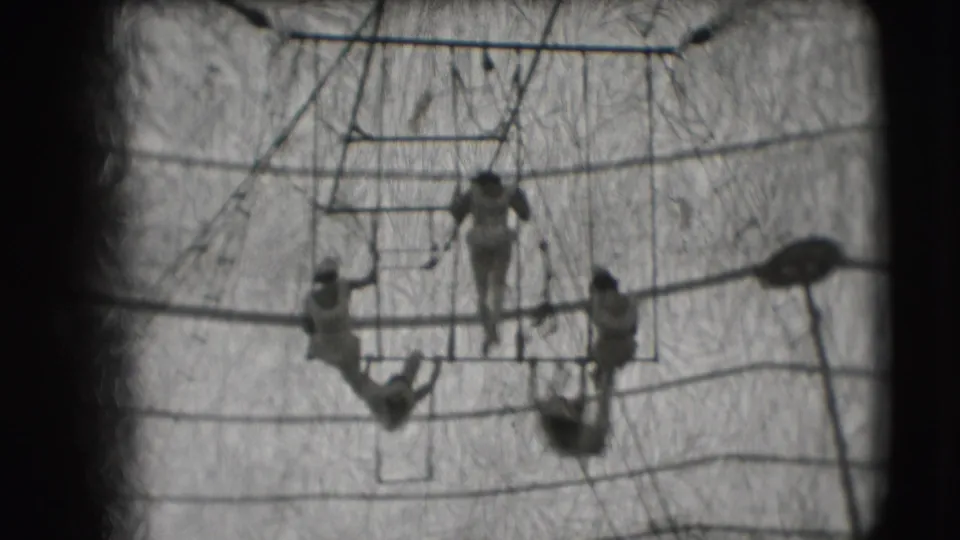 Acrobats perform on and below a high bar inside the Ringling Brothers Sarasota circus tent, with rigging lines filling the background.