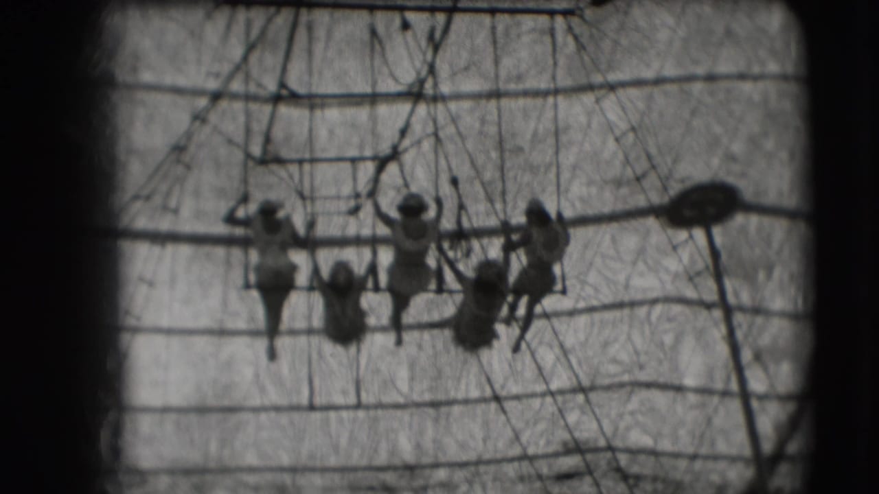 Several trapeze performers silhouetted against circus tent rigging and canvas.