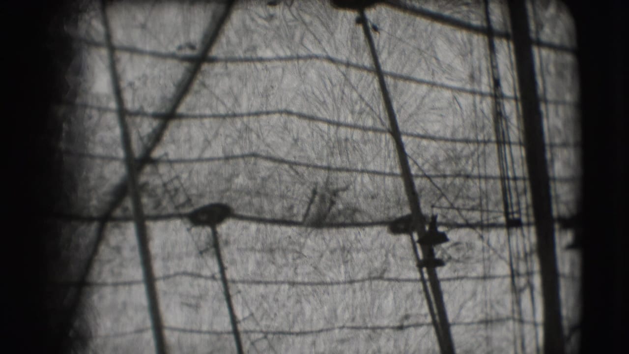 Dark-framed view of circus rigging, poles, and trapeze lines in grainy black-and-white footage.