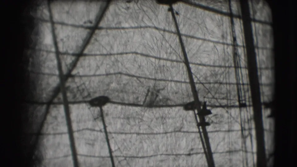 1948 Sarasota circus practice footage showing trapeze rigging and support poles through a dark, obstructed 8mm frame.