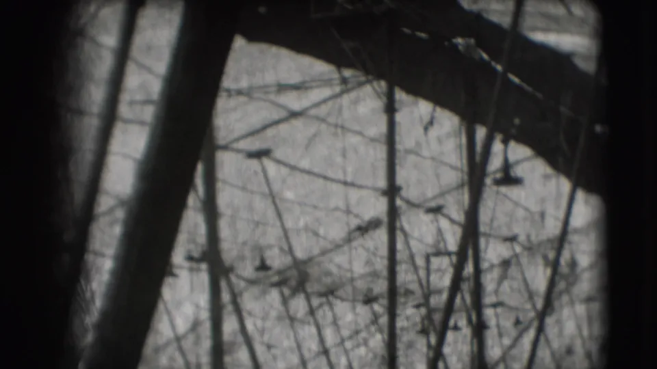 Black-and-white 8mm frame from the Sarasota circus setting, with a dark beam crossing trapeze rigging and poles.
