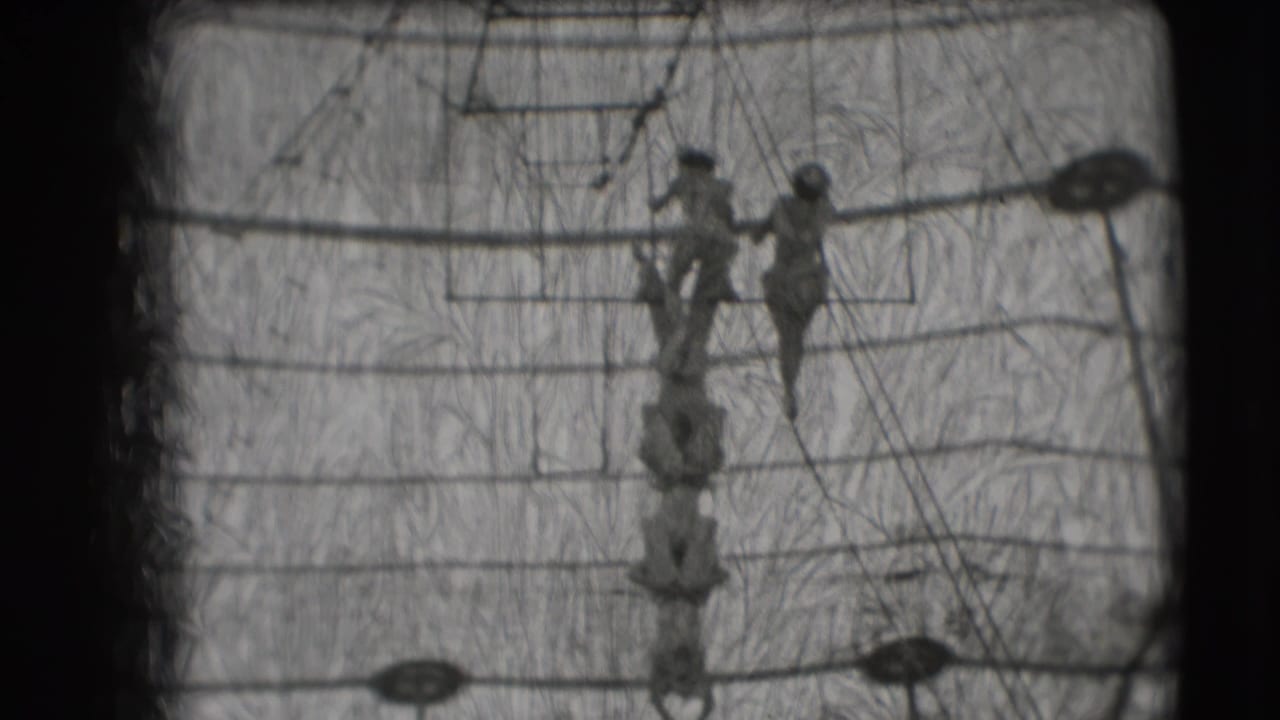 Trapeze artists high on suspended bars inside a circus tent.