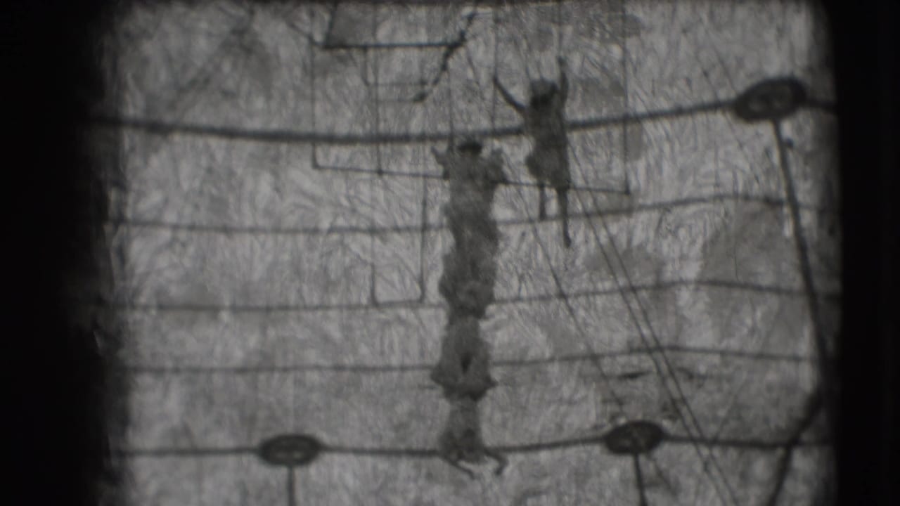 1948 Ringling Brothers Sarasota footage showing trapeze performers posed on high rigging under the circus tent structure.