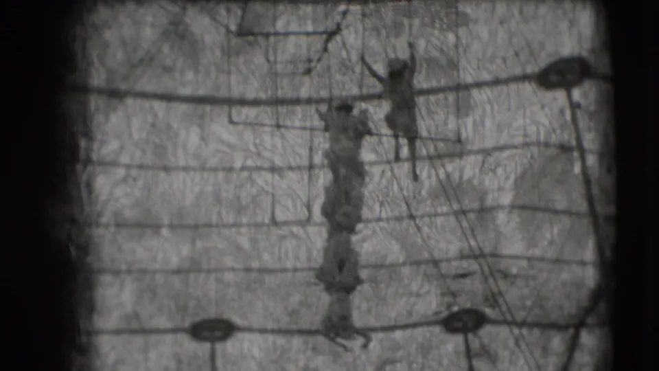 1948 Ringling Brothers Sarasota footage showing trapeze performers posed on high rigging under the circus tent structure.