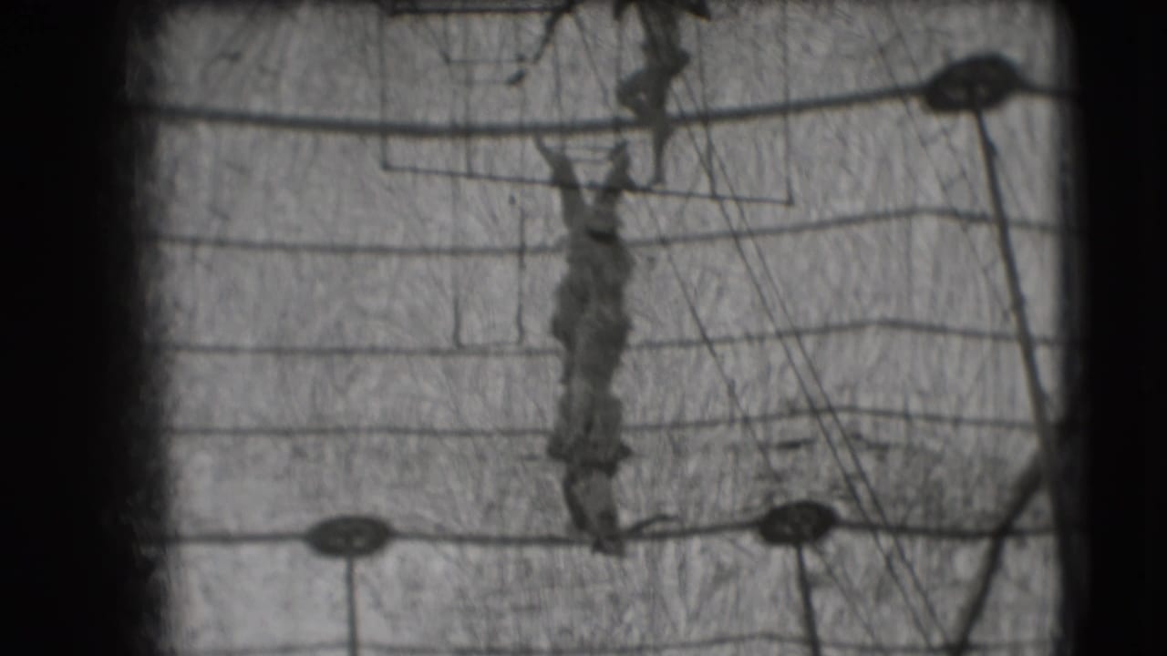 Upside-down trapeze performer hanging from a bar amid circus rigging and cables.
