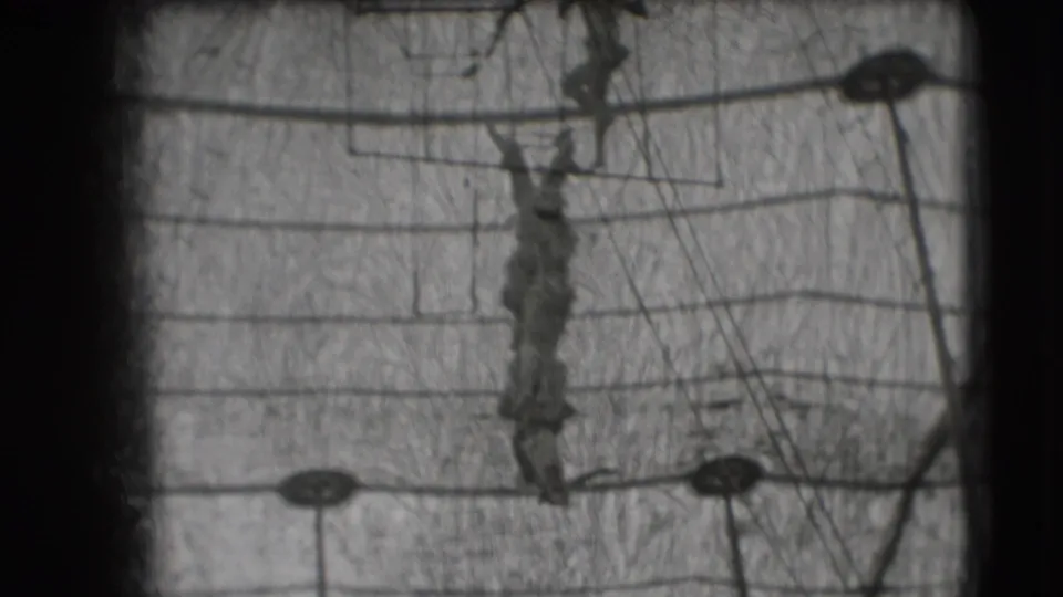1948 Sarasota Ringling Brothers trapeze performer hanging upside down from a bar against visible rigging and cables.