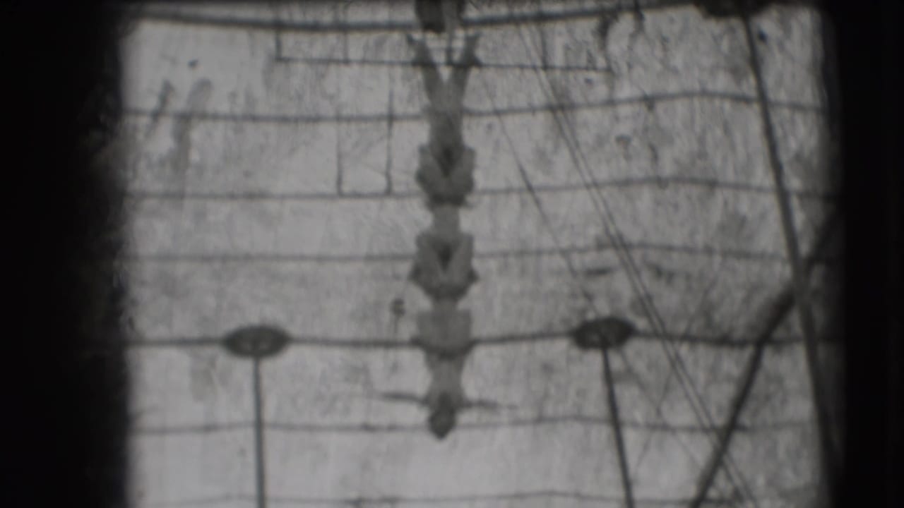 1948 Sarasota Ringling Brothers footage shows acrobats suspended in a vertical formation beneath a trapeze rig.