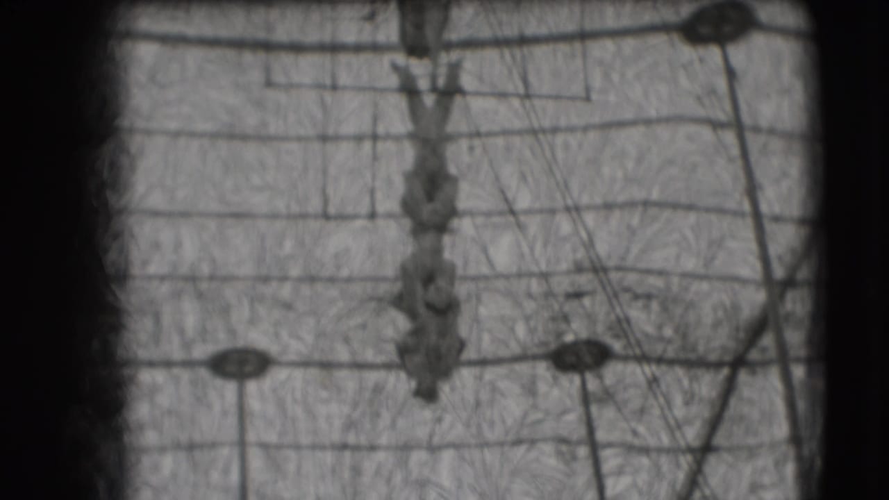 The 1948 Sarasota circus scene holds on acrobats hanging from a trapeze structure amid overhead wires.