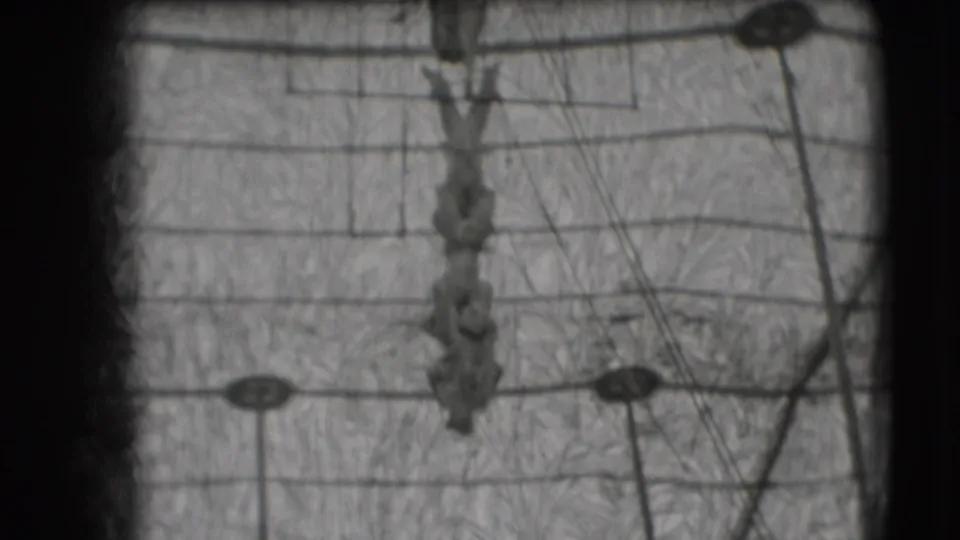 The 1948 Sarasota circus scene holds on acrobats hanging from a trapeze structure amid overhead wires.