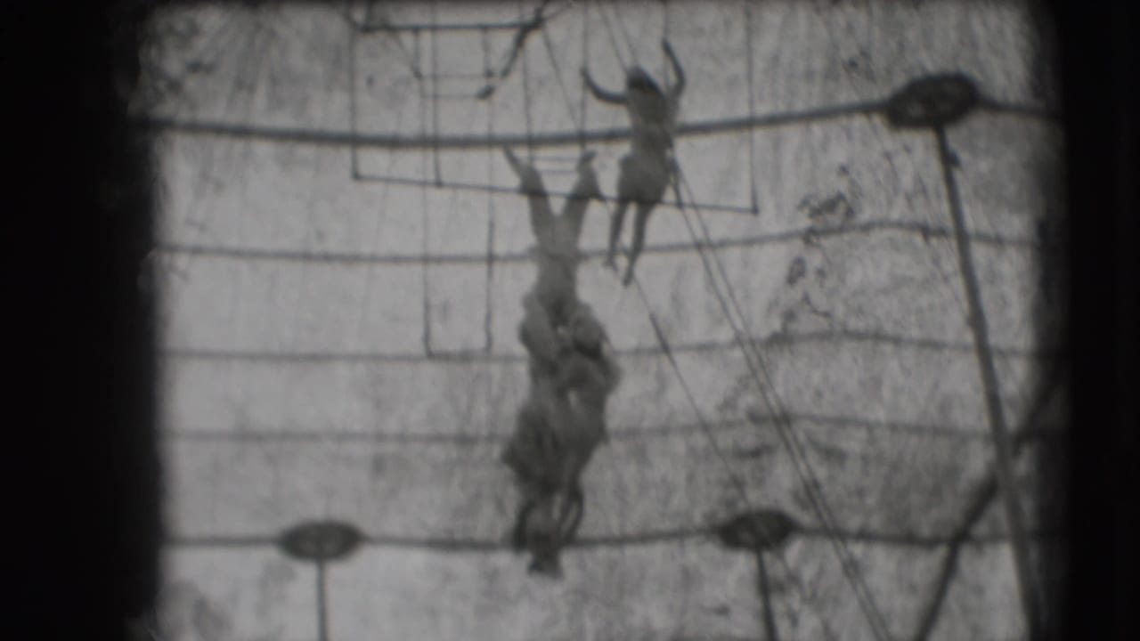 In 1948 Sarasota circus footage, two women trapeze performers hang at different heights within ropes and overhead bars.