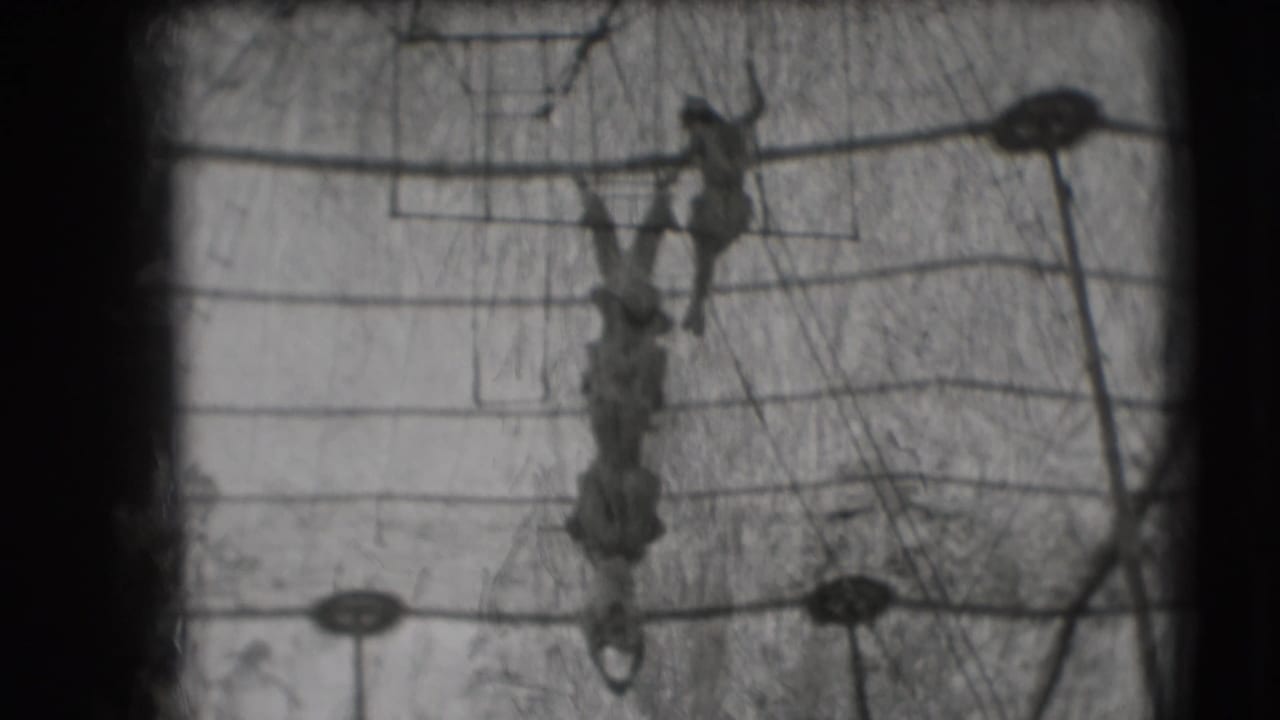 A trapeze performer hangs upside down while another stands higher on the rigging.