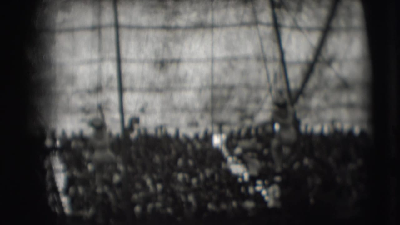 A rope performer hangs near the tent wall above the audience.