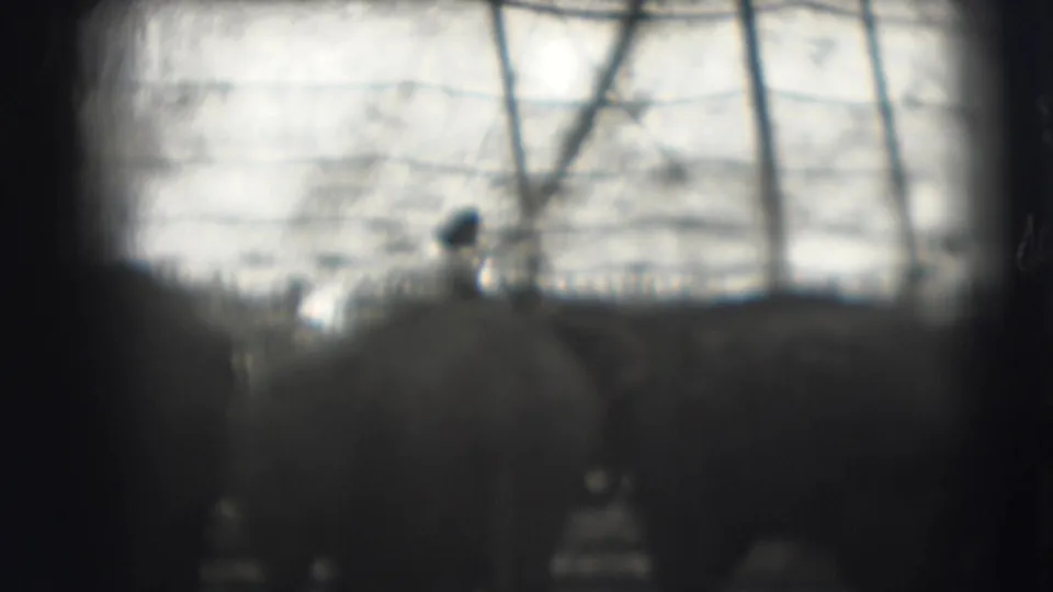Close, blurred 8mm frame of elephants in the circus enclosure, with fencing, branches, and distant spectators above them.