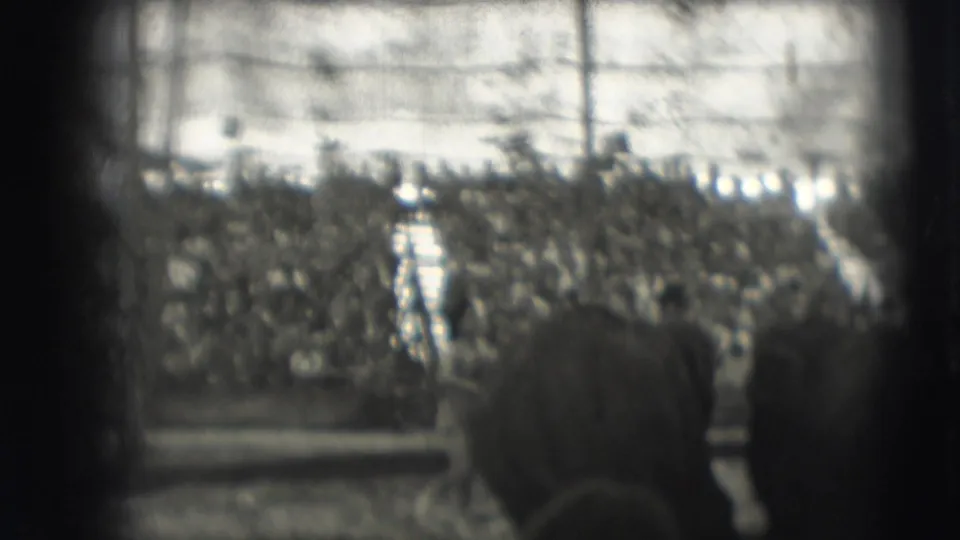 Archival 8mm frame from the Sarasota circus setting showing elephants at the edge of the ring and spectators behind fencing.