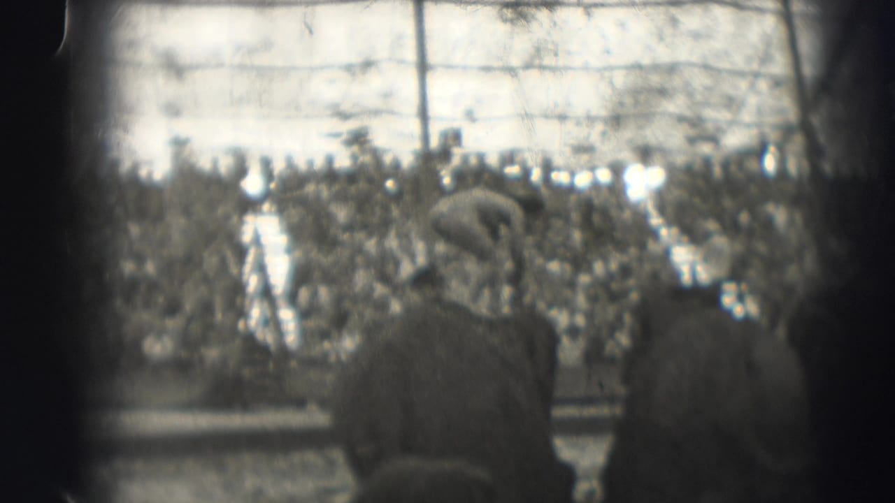 Circus ring and packed stands with blurred figures and a possible horse or performer near center right.