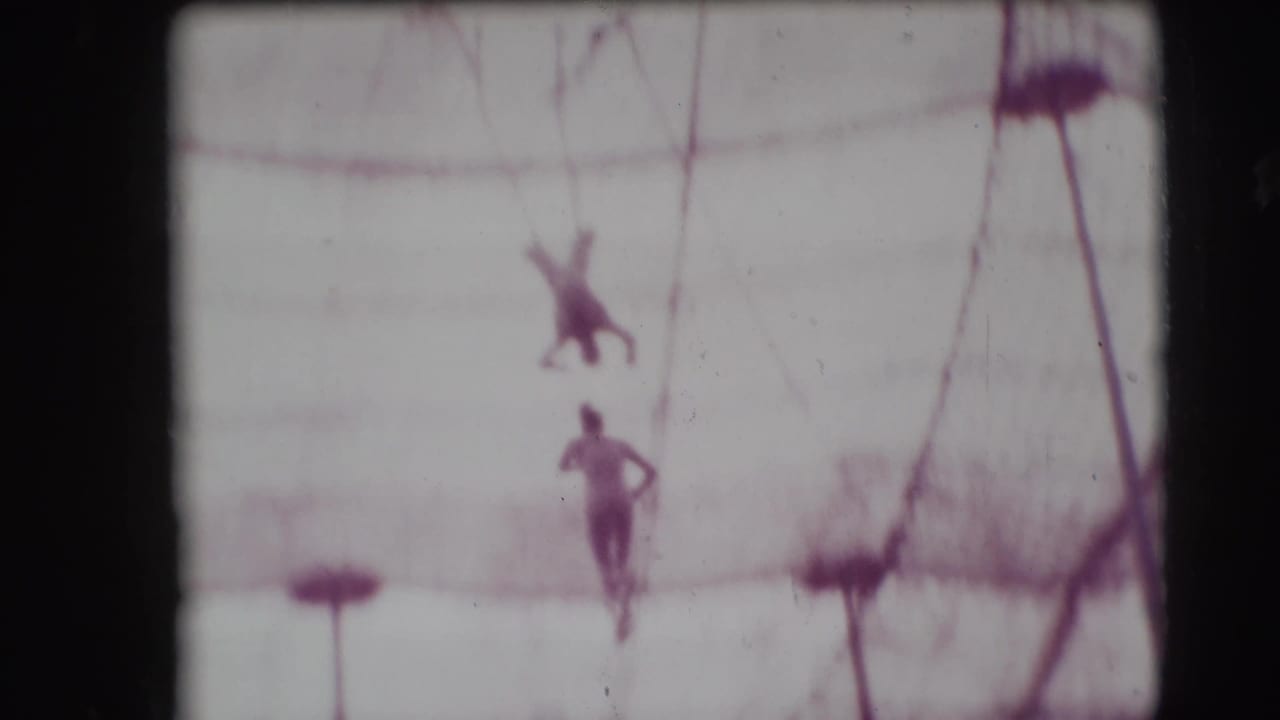 Two aerialists are visible high above the net near trapeze lines inside the tent.