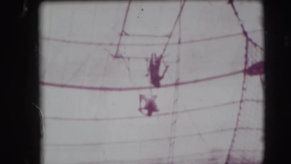 1948 Sarasota Ringling Brothers frame showing an aerialist upside down near the safety net after a missed trapeze move.