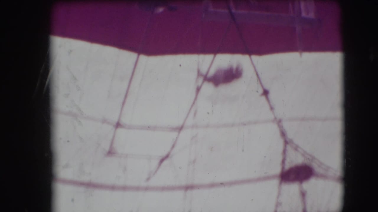 High trapeze rigging and small performer silhouettes against tent canvas.
