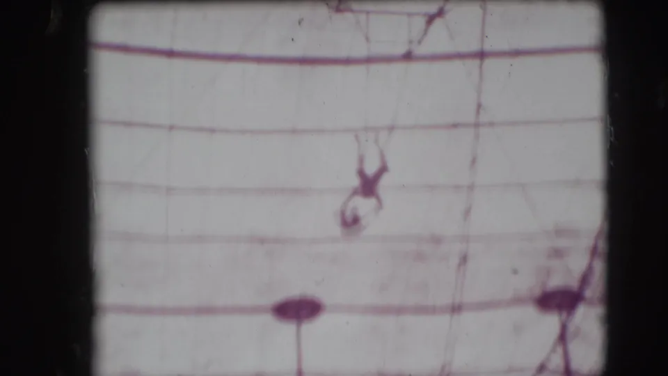A small performer hangs below trapeze rigging against the pale tent canvas in the short 1948 circus clip.