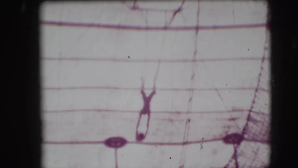 1948 Sarasota circus footage showing a trapeze performer suspended against pale tent canvas with ropes and frame edges visible.