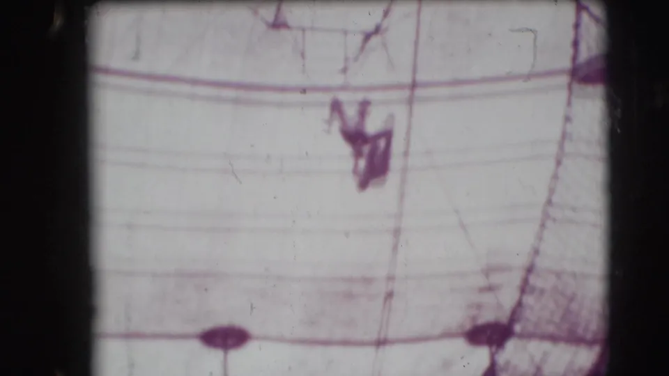 A trapeze performer is visible in midair beneath the tent rigging, silhouetted against pale canvas in the 1948 Sarasota footage.