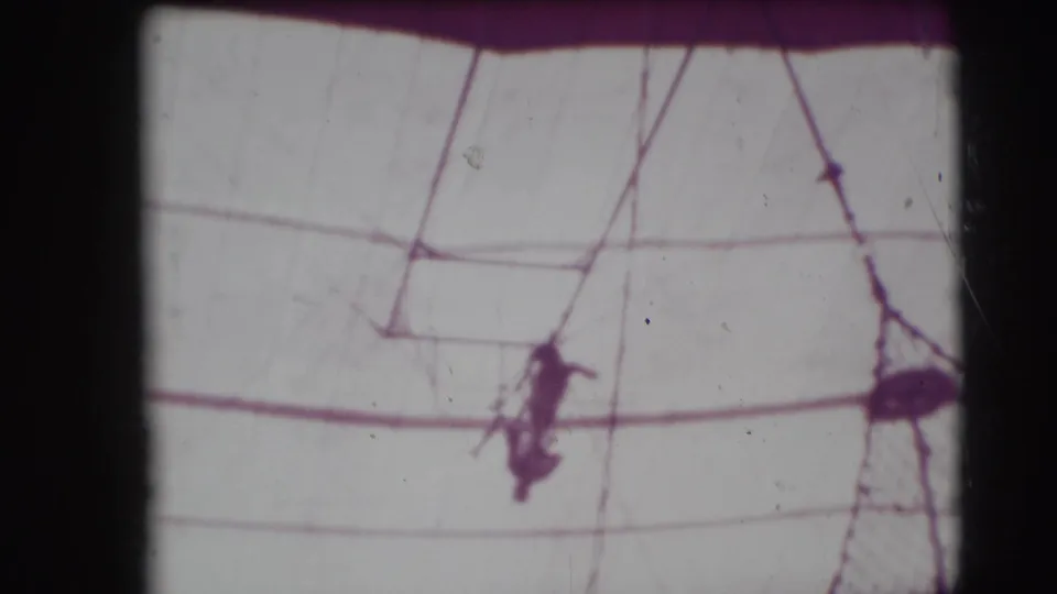 Distant trapeze artist appears suspended among rigging inside the Sarasota circus tent, seen in soft 8mm focus.