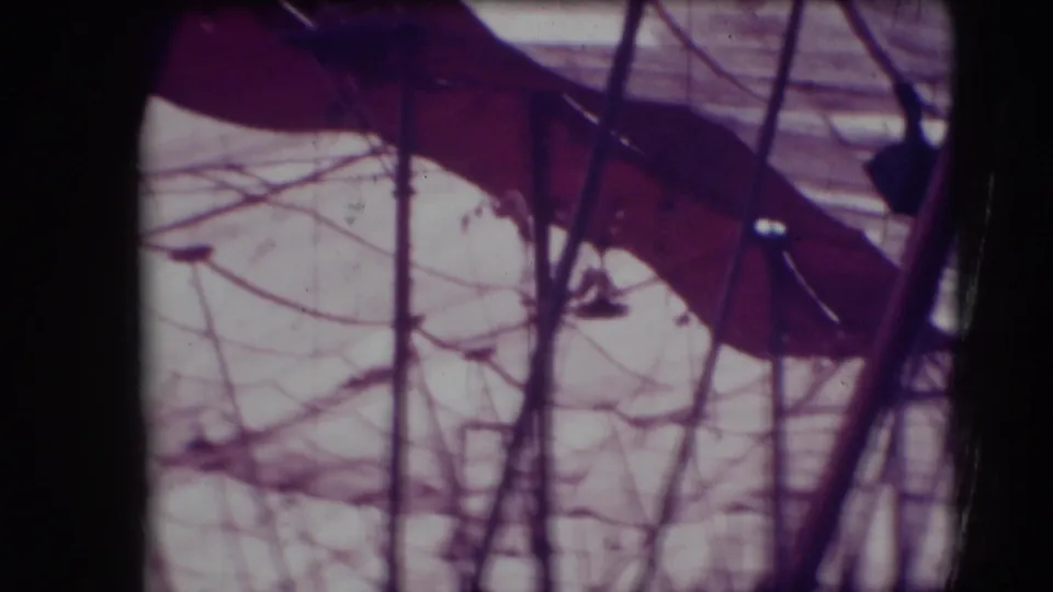 Inside the Sarasota circus tent, trapeze rigging and poles frame distant performers in grainy 1948 8mm footage.